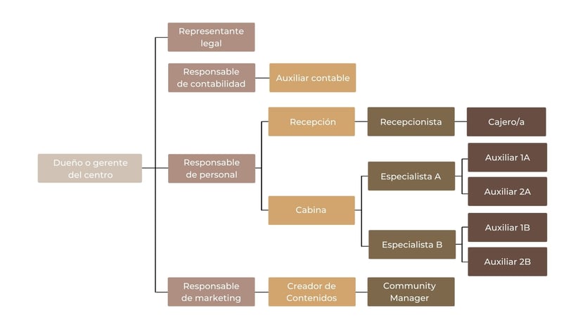 La importancia del organigrama de una empresa de estética y belleza